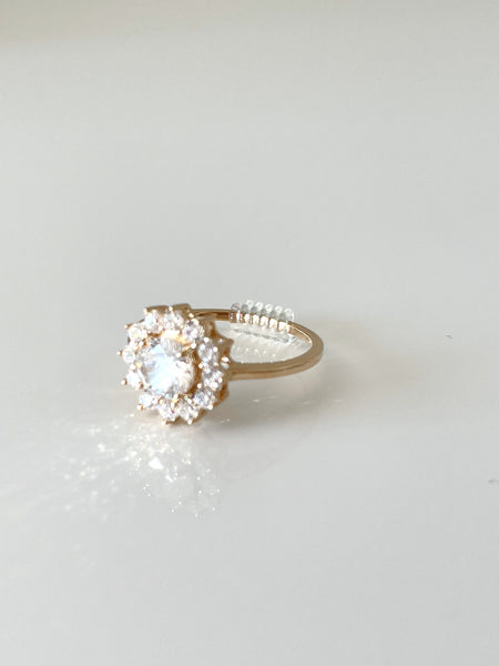 Ring adjuster